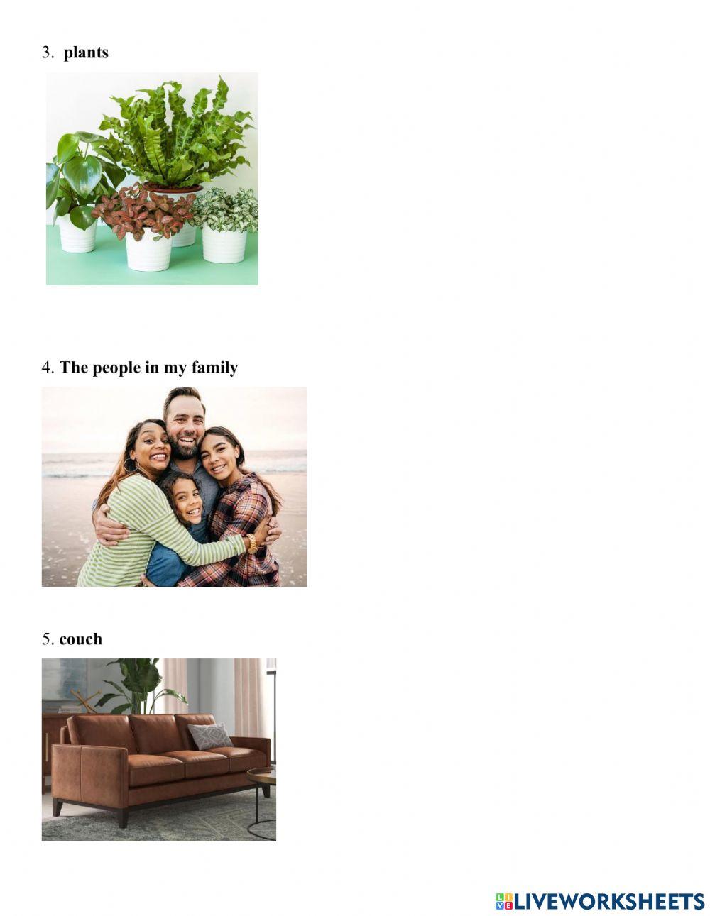 Caring for things in the home