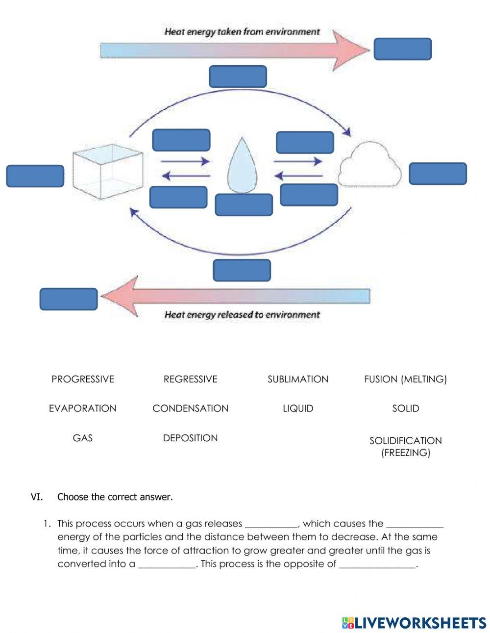 6B SCIENCE TEST T3 PART 1