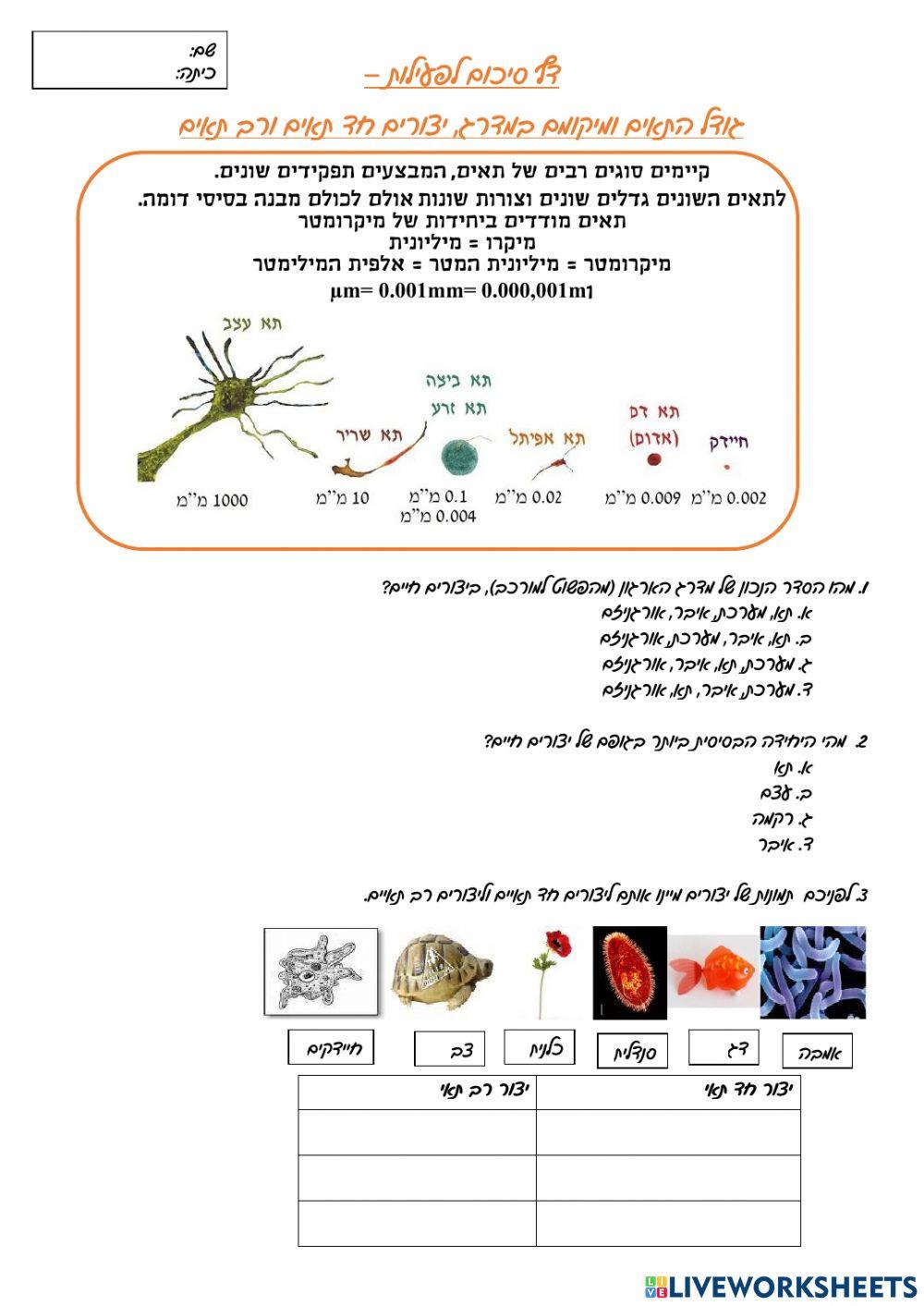 ביולוגיה -תאים
