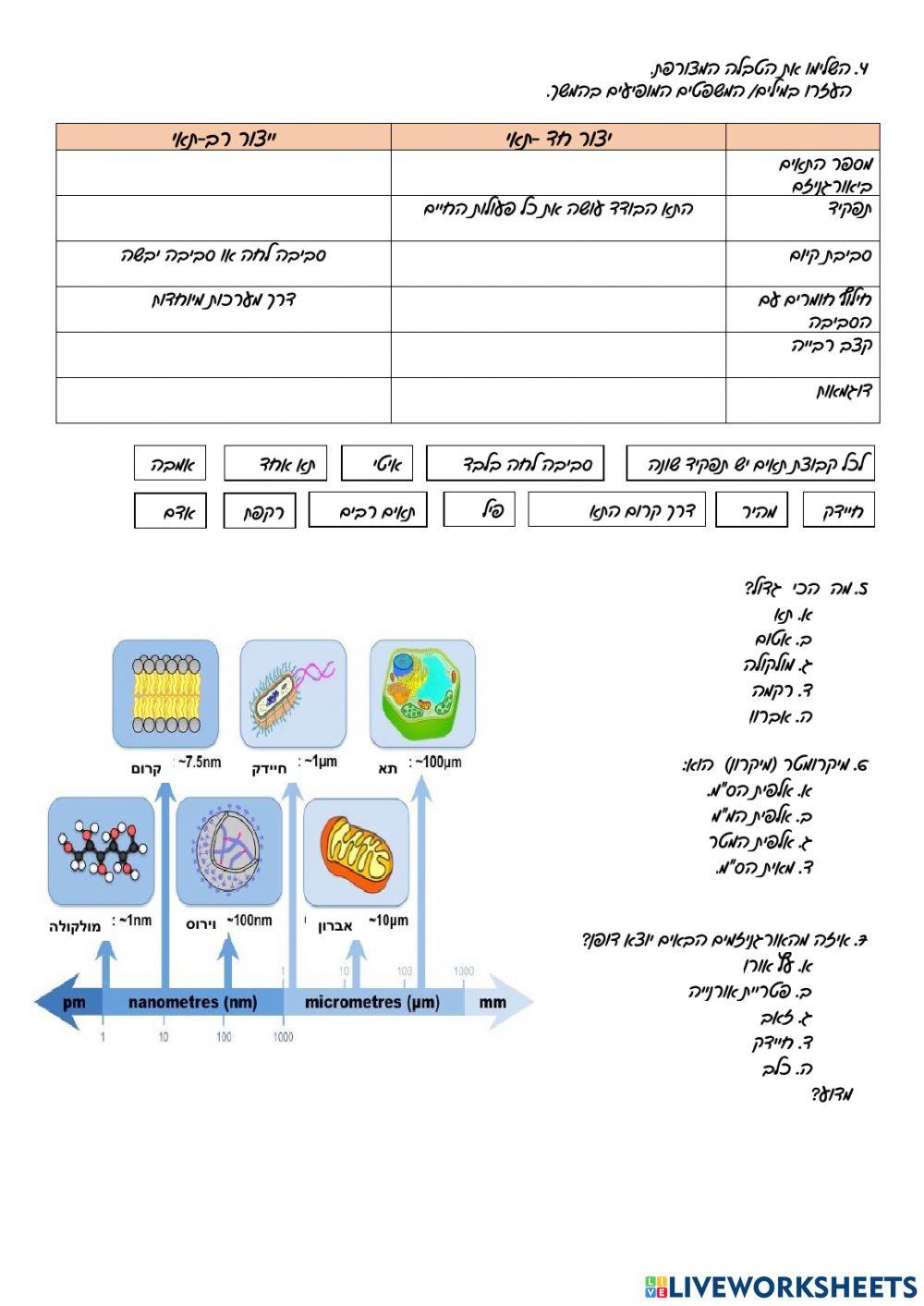 ביולוגיה -תאים