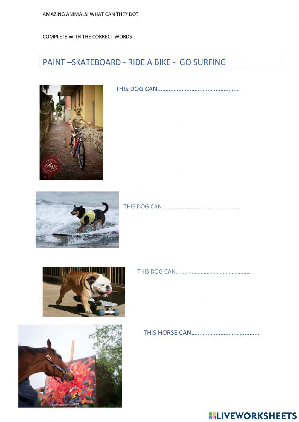 Funny animals. what can they do?