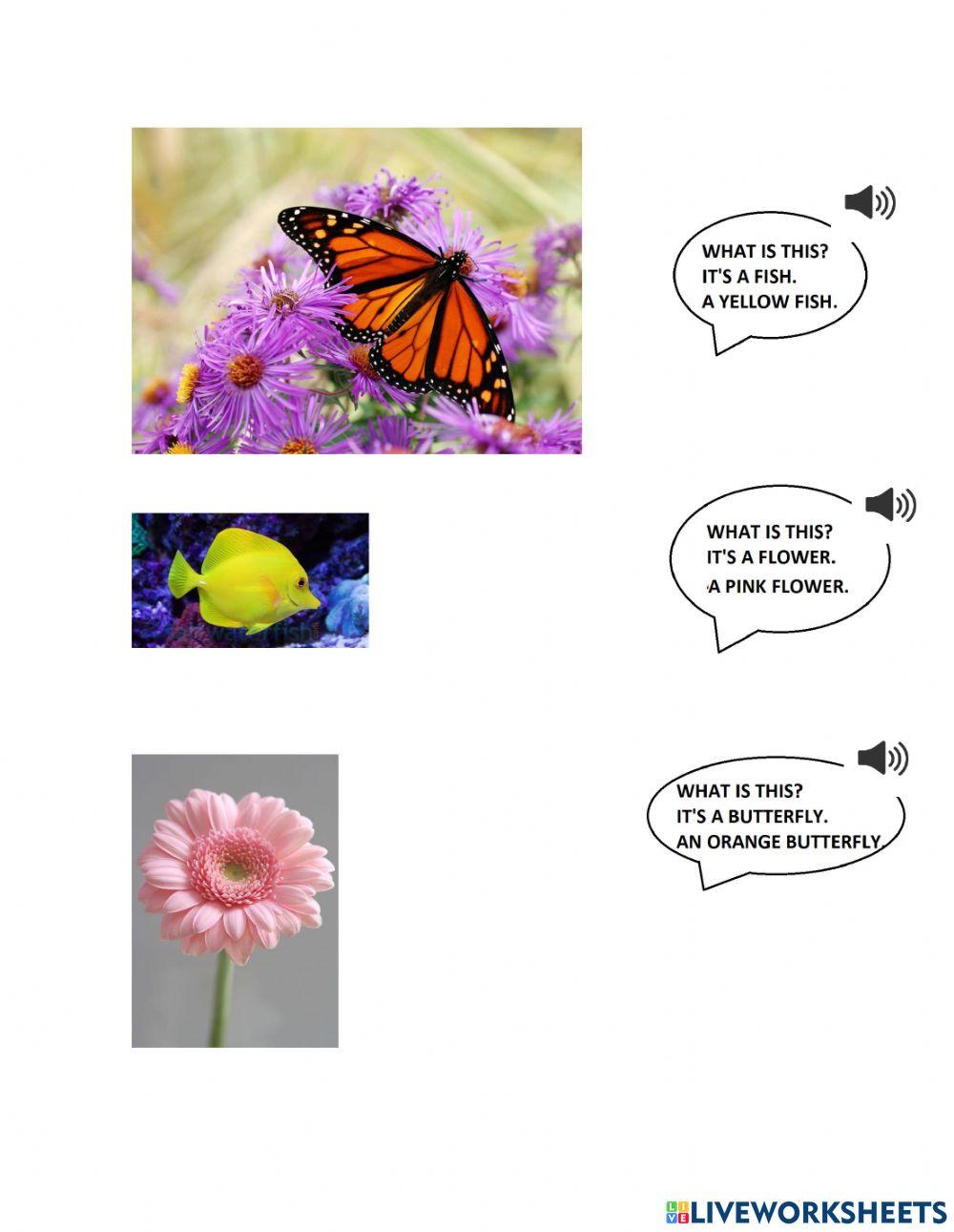 What is this? Animals