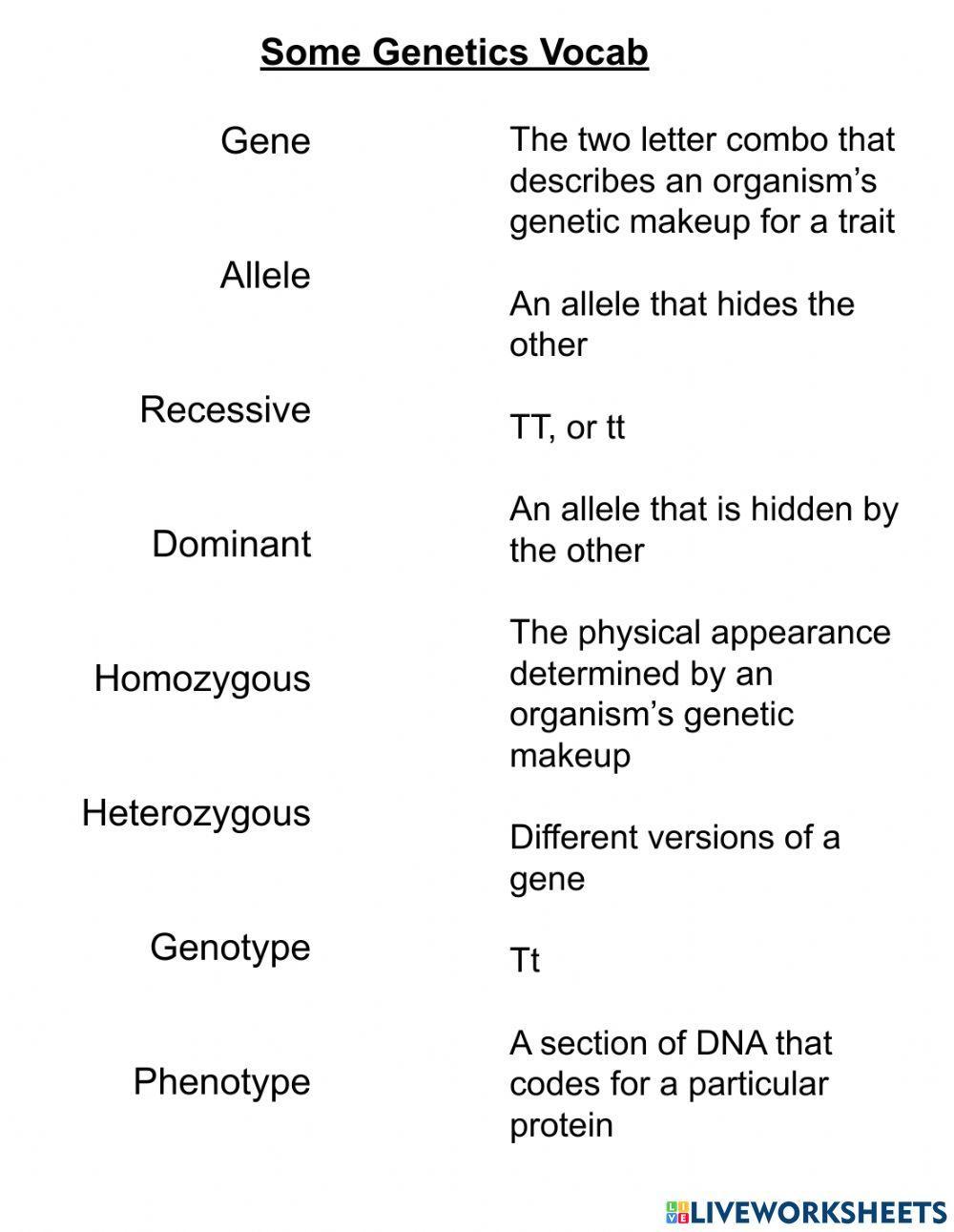 Some Genetics Vocabulary Some Genetics Vocabulary