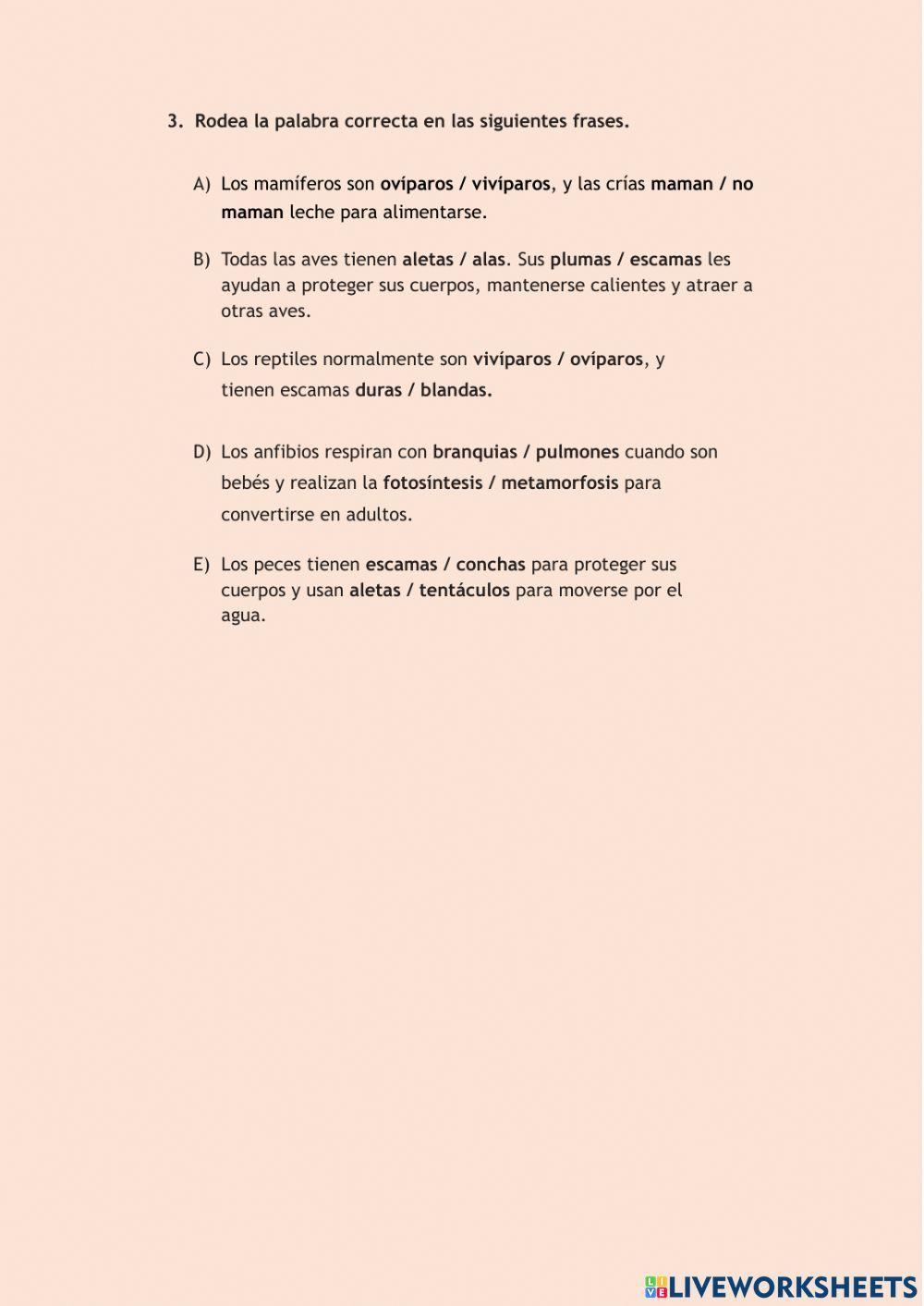 Animales vertebrados e invertebrados