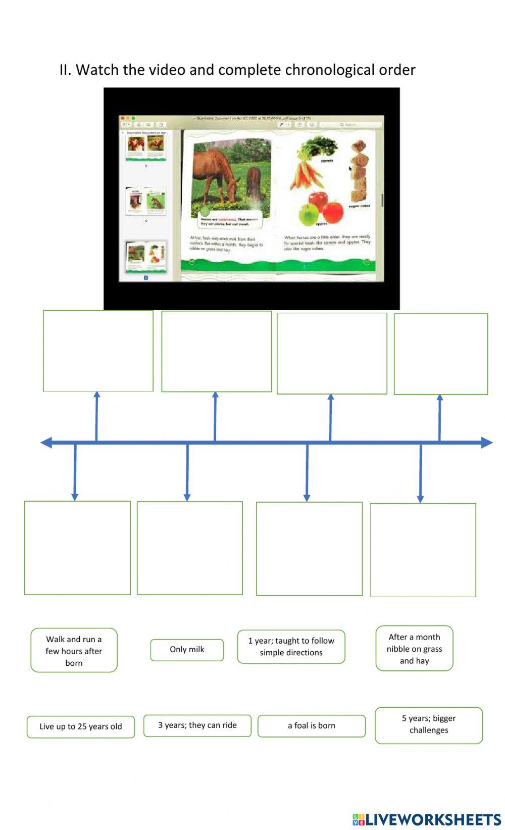 Chronological order, compare, contrast, main idea and details Chronological order, compare, contrast, main idea and details