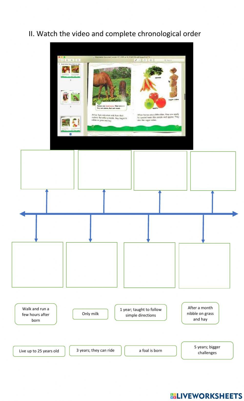 Chronological order, compare, contrast, main idea and details