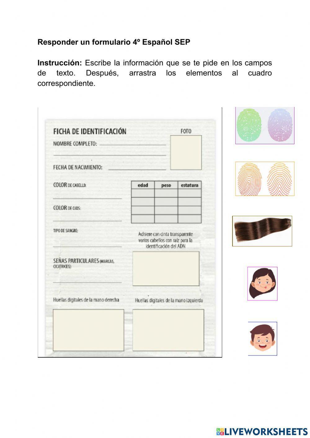 Formulario 4º Grado