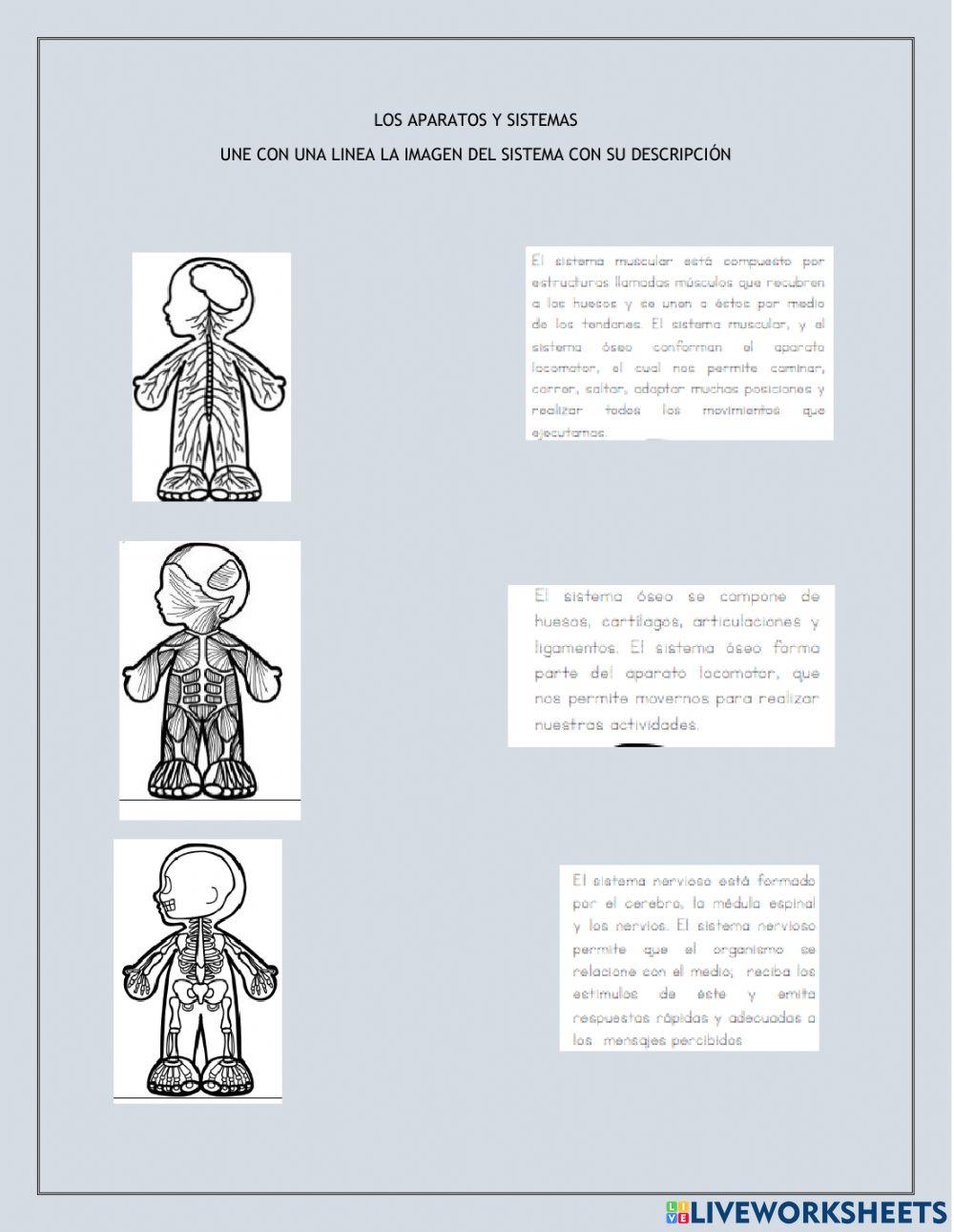 Los aparatos y sistemas