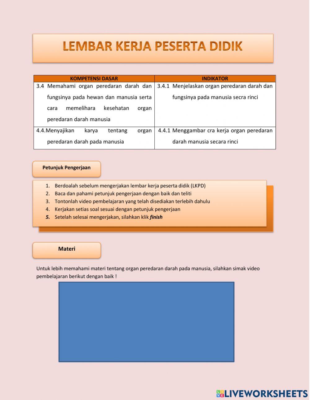 Organ Peredaran Darah Manusia Organ Peredaran Darah Manusia