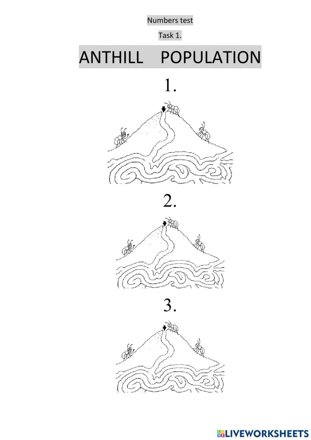 Big numbers -2nd and 3rd graders-May 30th