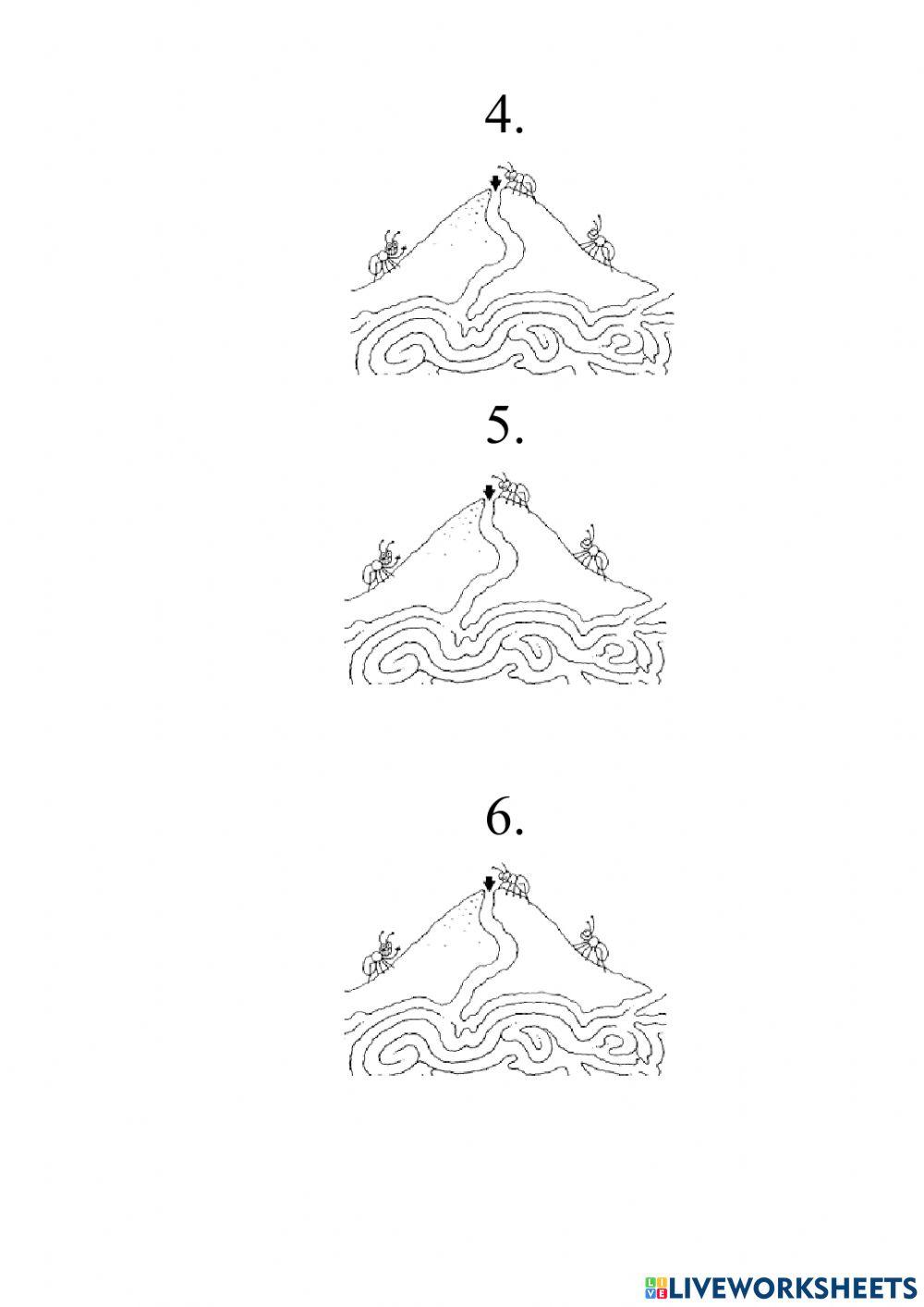 Big numbers -2nd and 3rd graders-May 30th
