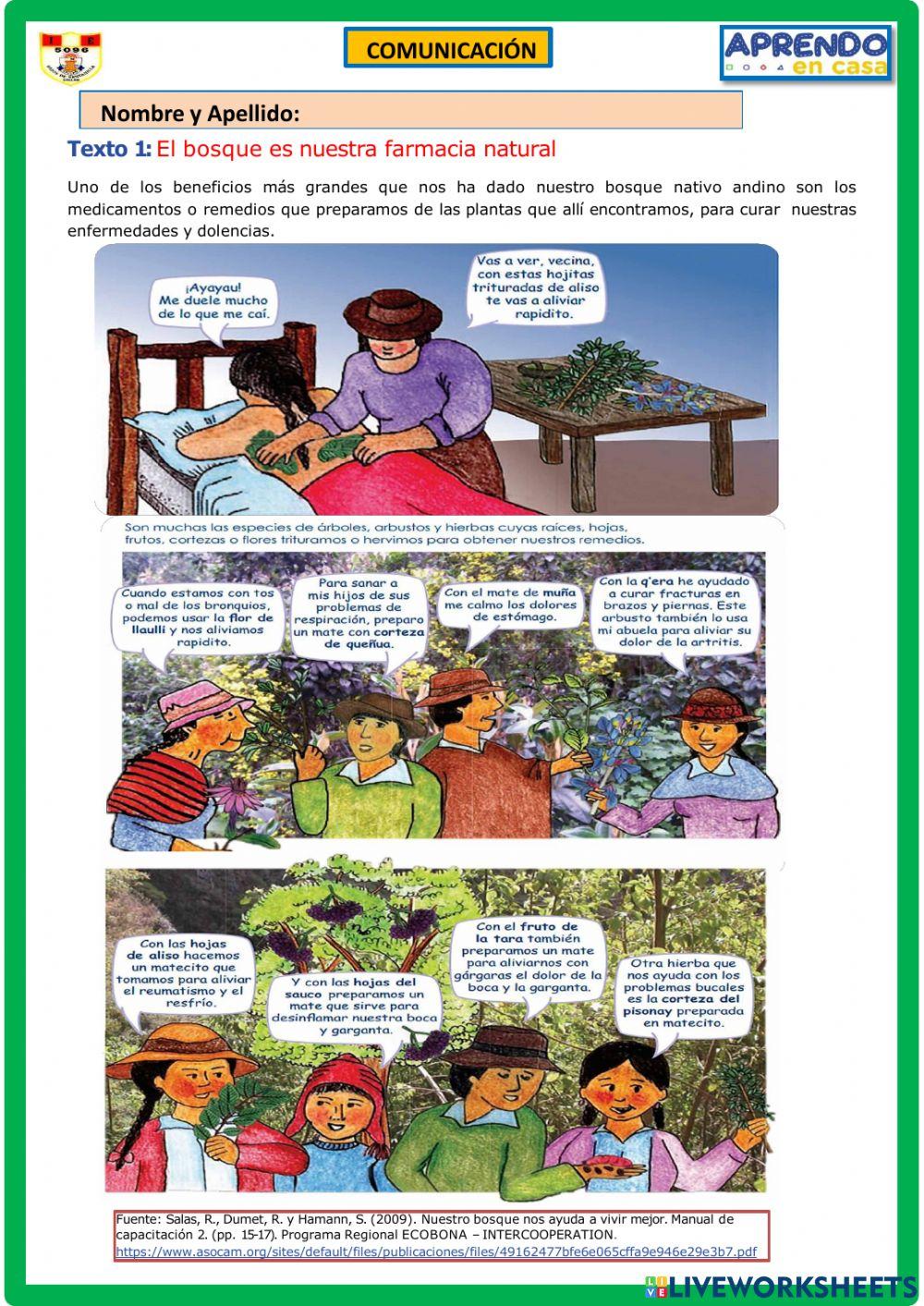 Comprensión lectora