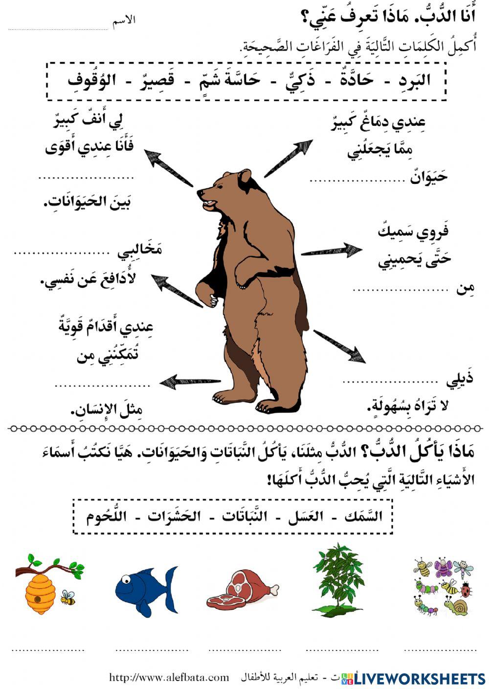 قصة خمسة دببة داخل الكهف