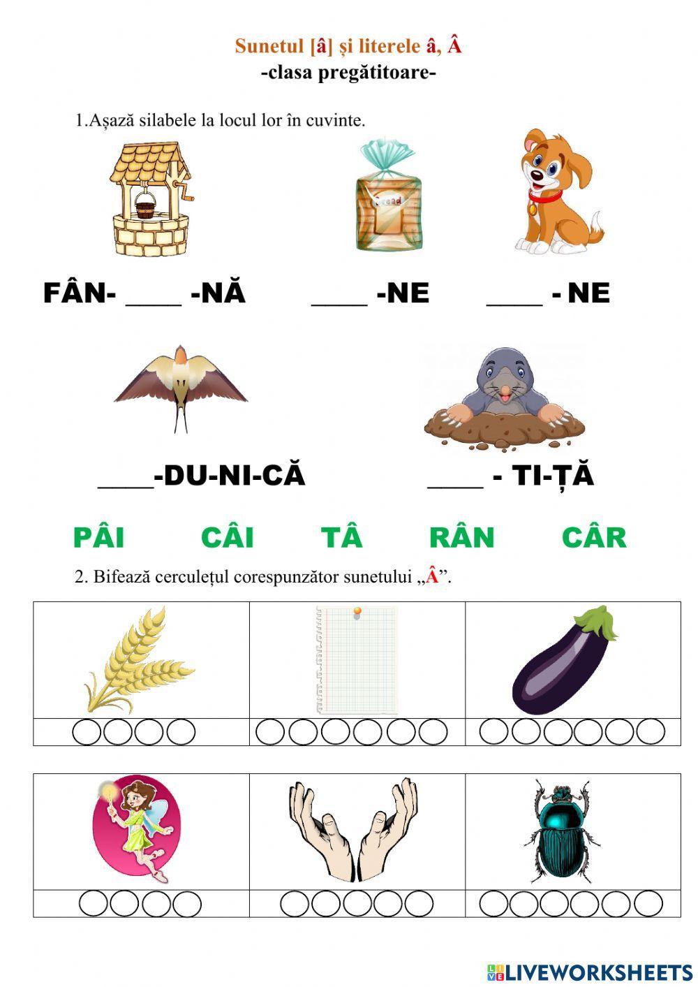 Sunetul  și literele â,  Sunetul  și literele â, Â