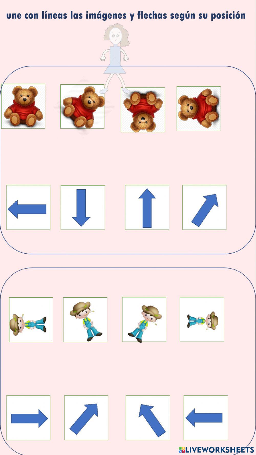Une con líneas las imágenes y flechas según su posición