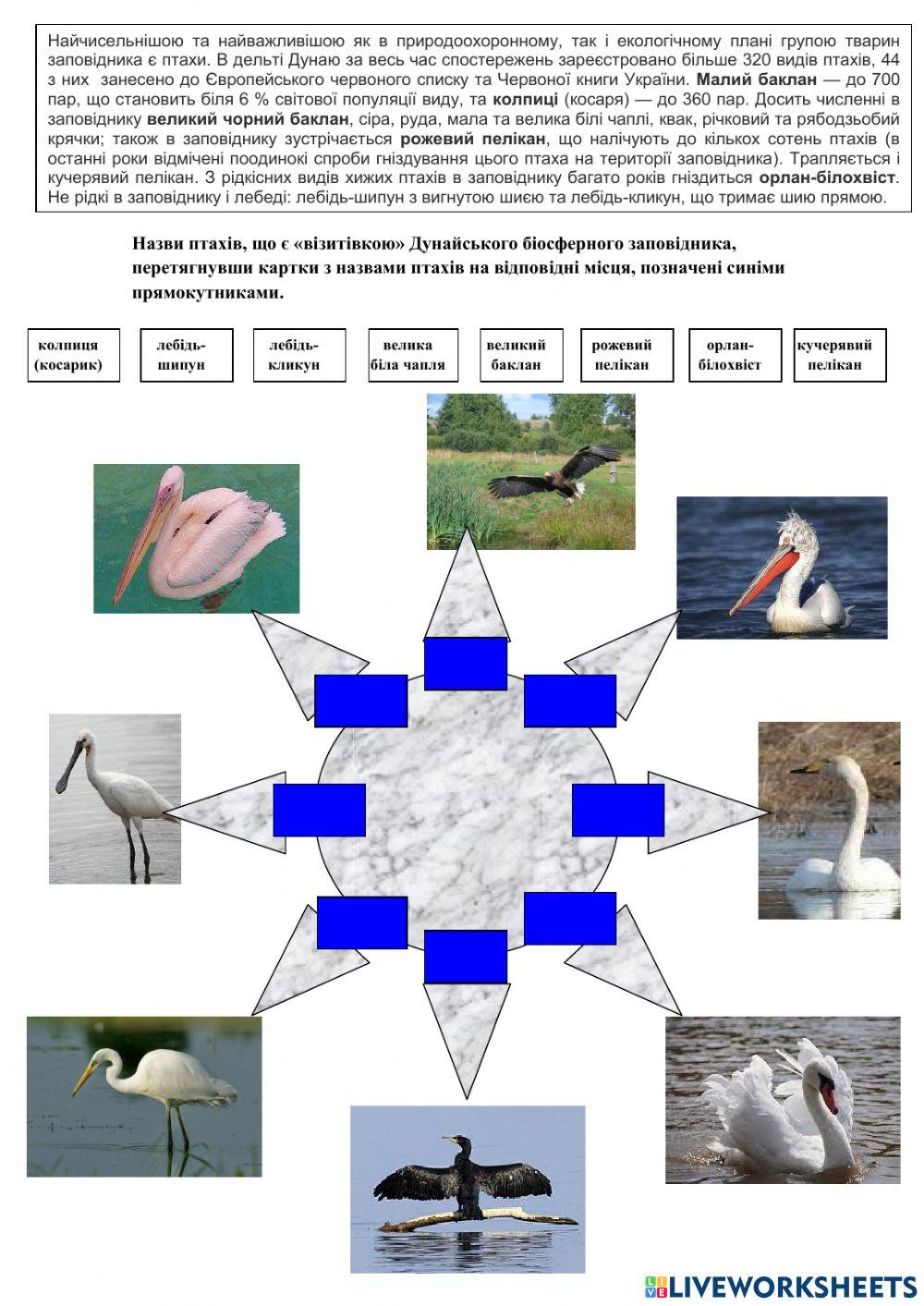 Дунайський біосферний заповідник