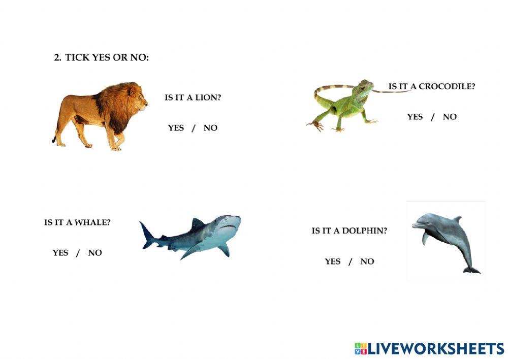 Trabajamos en ingles