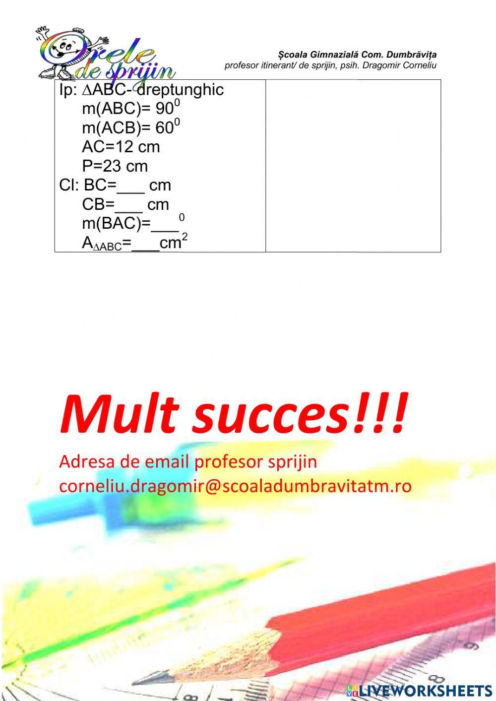 Triunghiul dreptunghic, copii cu CES