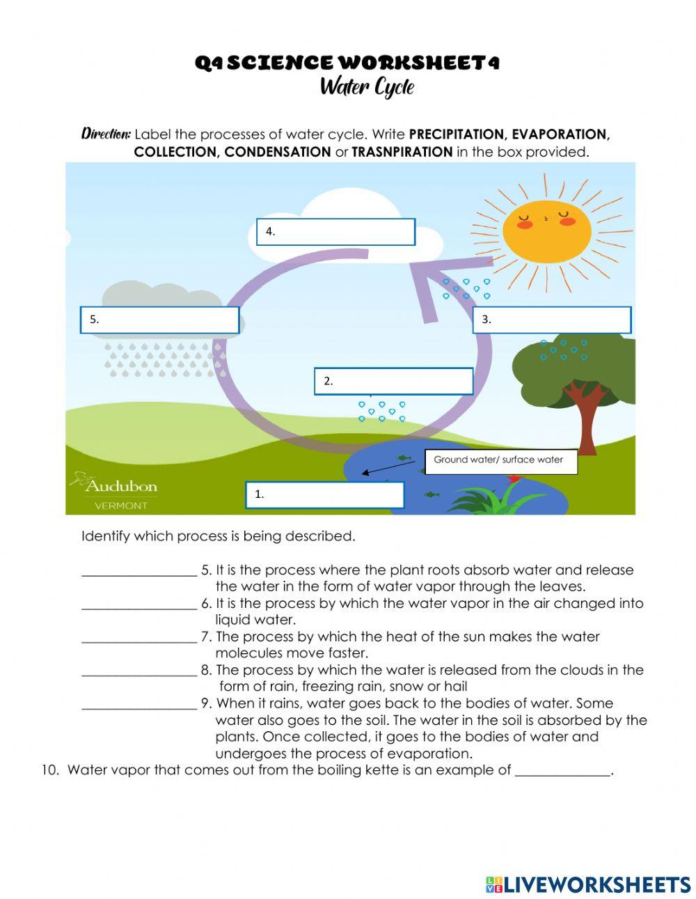 Q4 SCIENCE Worksheet 4 Water Cycle