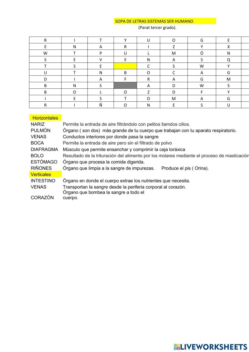 Sistemas del ser humano