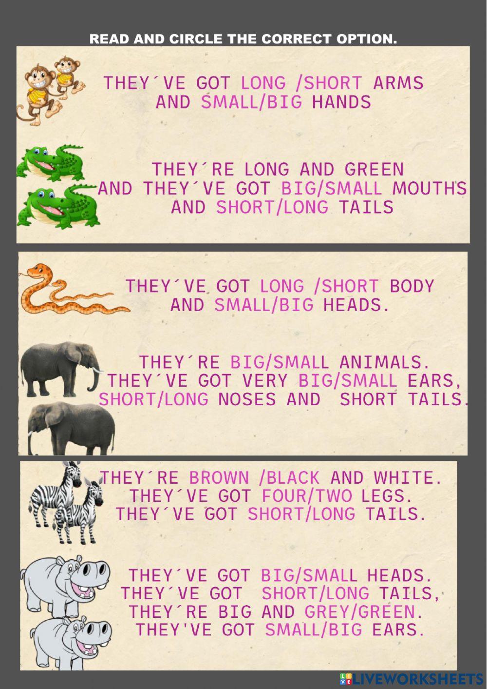 Animals descriptions