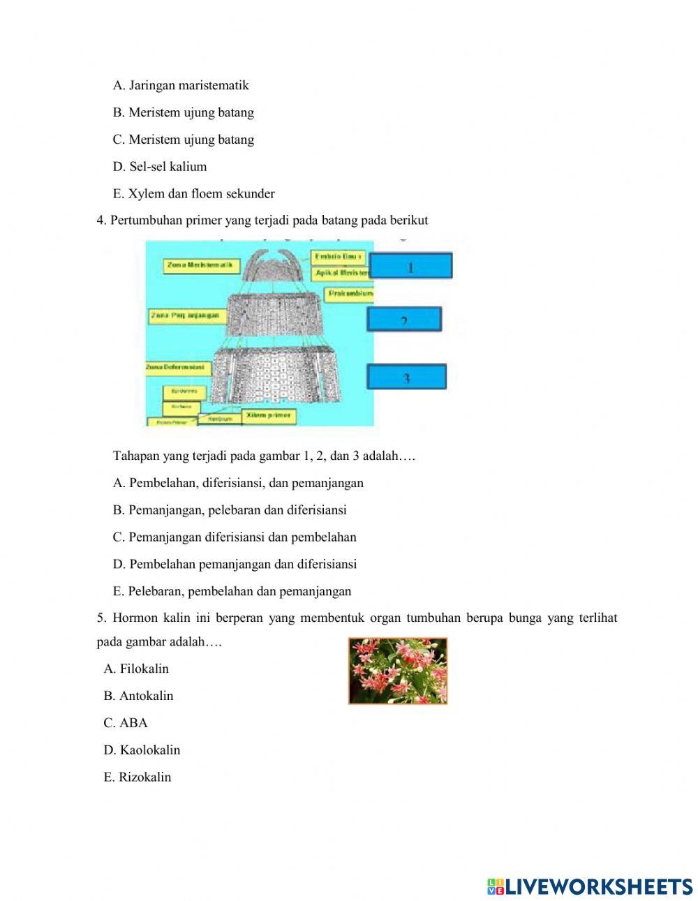 Pertumbuhan dan perkembangan