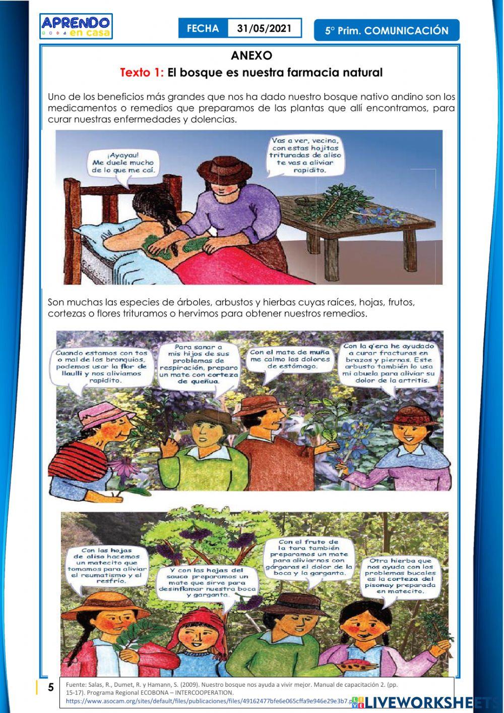 Leemos textos acerca de las prácticas y saberes ancestrales para  el cuidado de la salud.