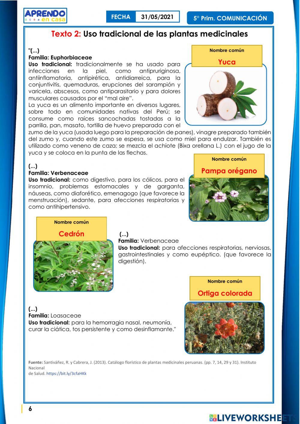 Leemos textos acerca de las prácticas y saberes ancestrales para  el cuidado de la salud.