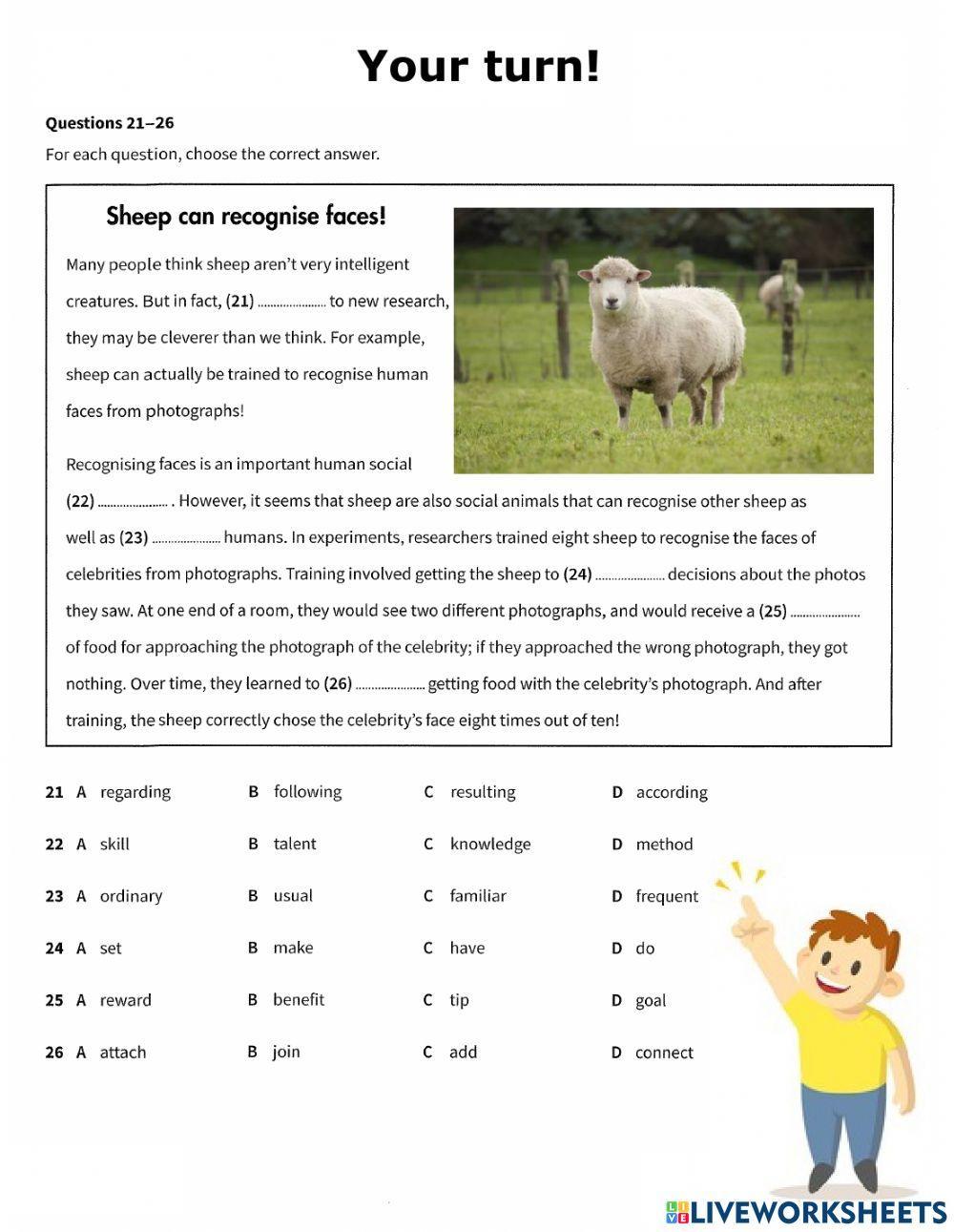 PET Reading Part 5 Trainer & Practice exercise