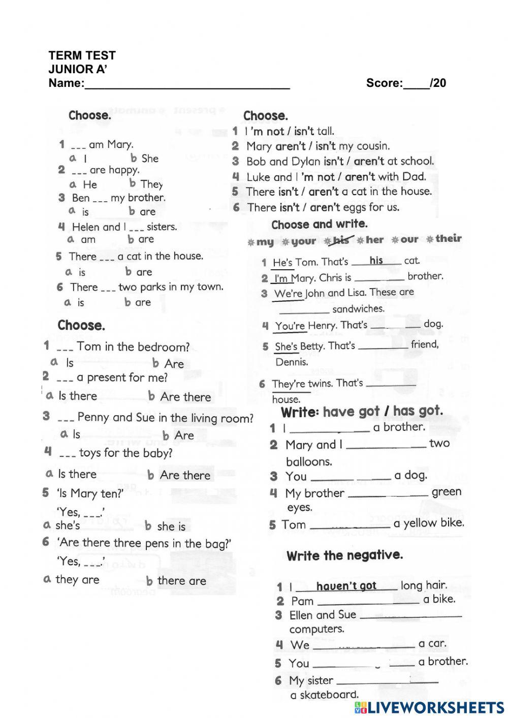 Junior A Term Test Grammar