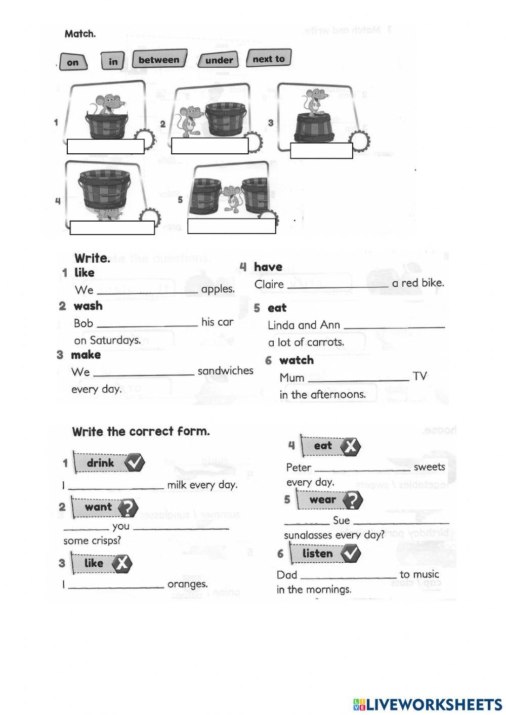 Junior A Term Test Grammar