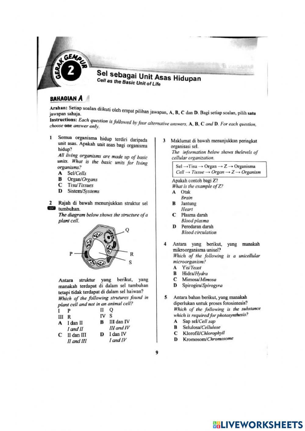 Ulangkaji Ting 1 bab 2,3,4