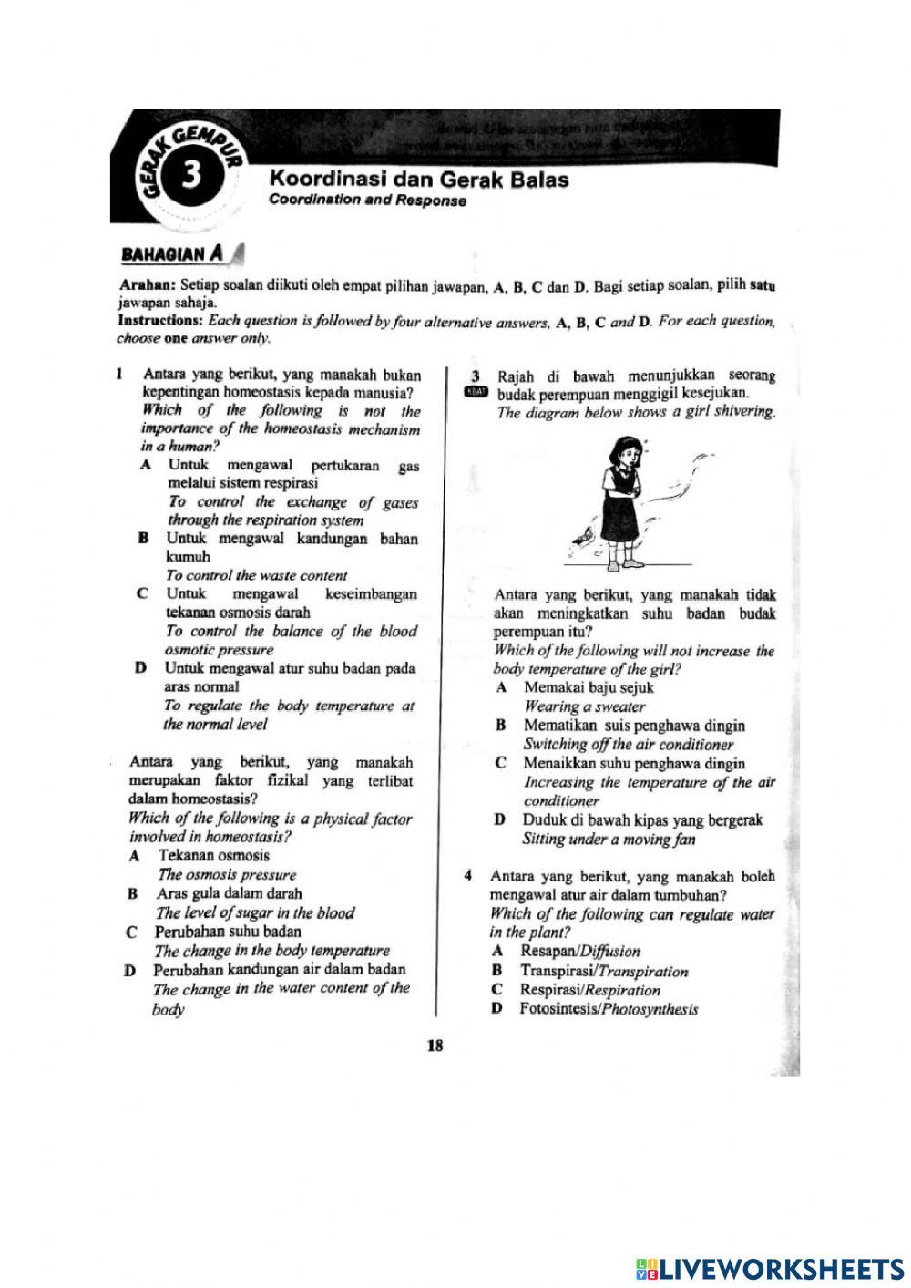 Ulangkaji Ting 1 bab 2,3,4