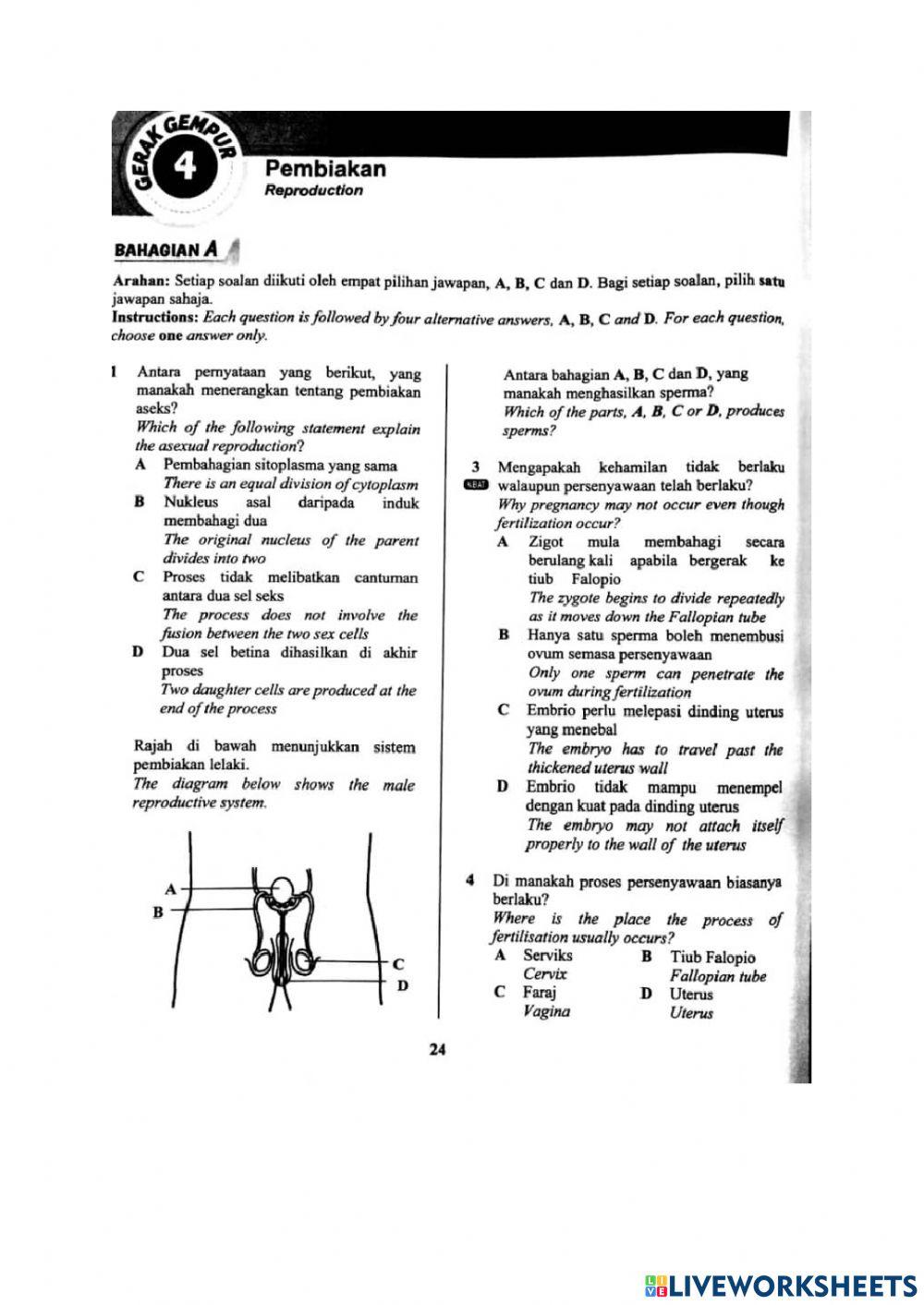 Ulangkaji Ting 1 bab 2,3,4