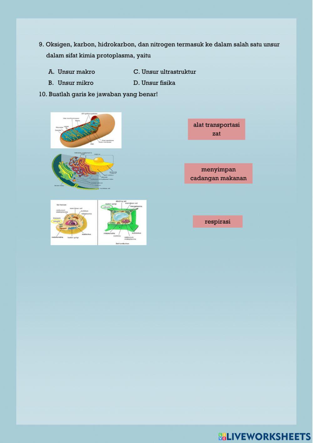 Sel sebagai struktur dasar kehidupan