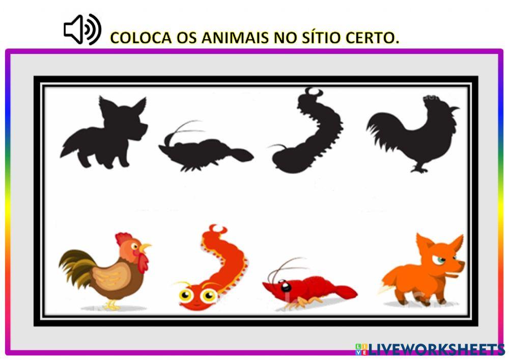 encaixe de animais