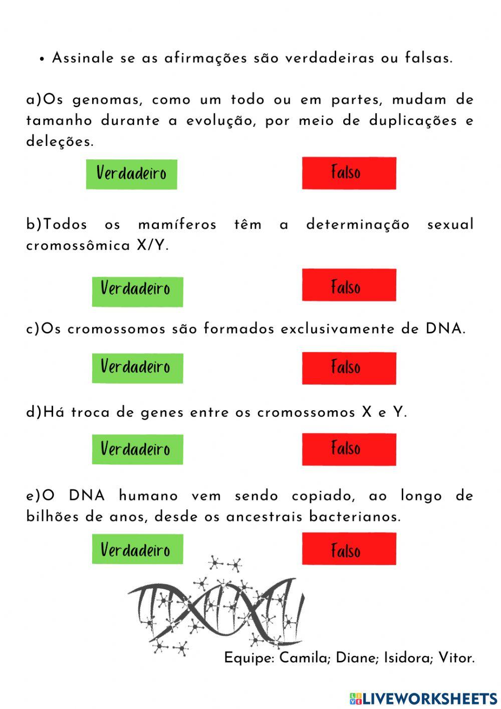 Atividade Assíncrona: Evolução dos cromossomos