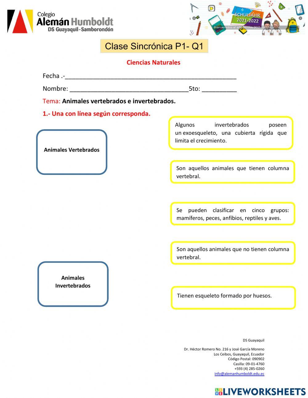 Animales vertebrados e invertebrados