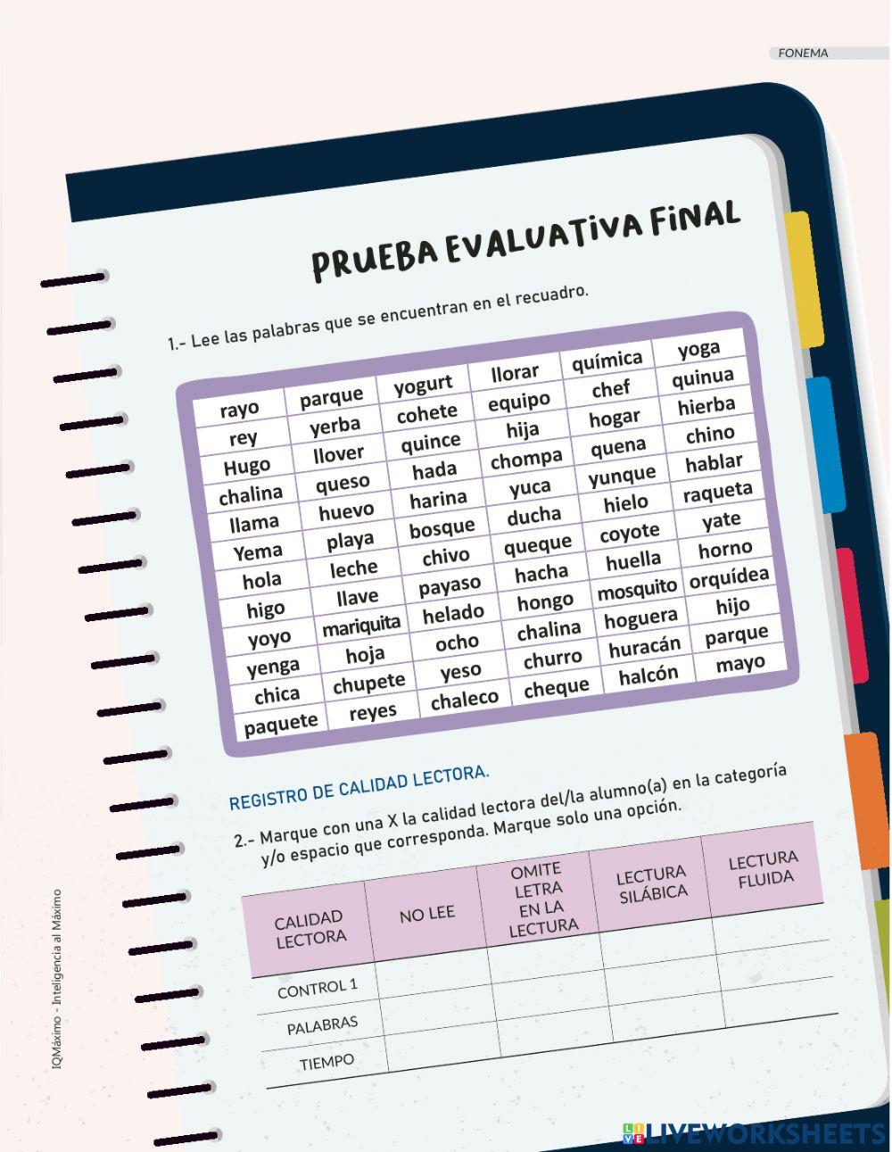 Actividad prueba letra Y