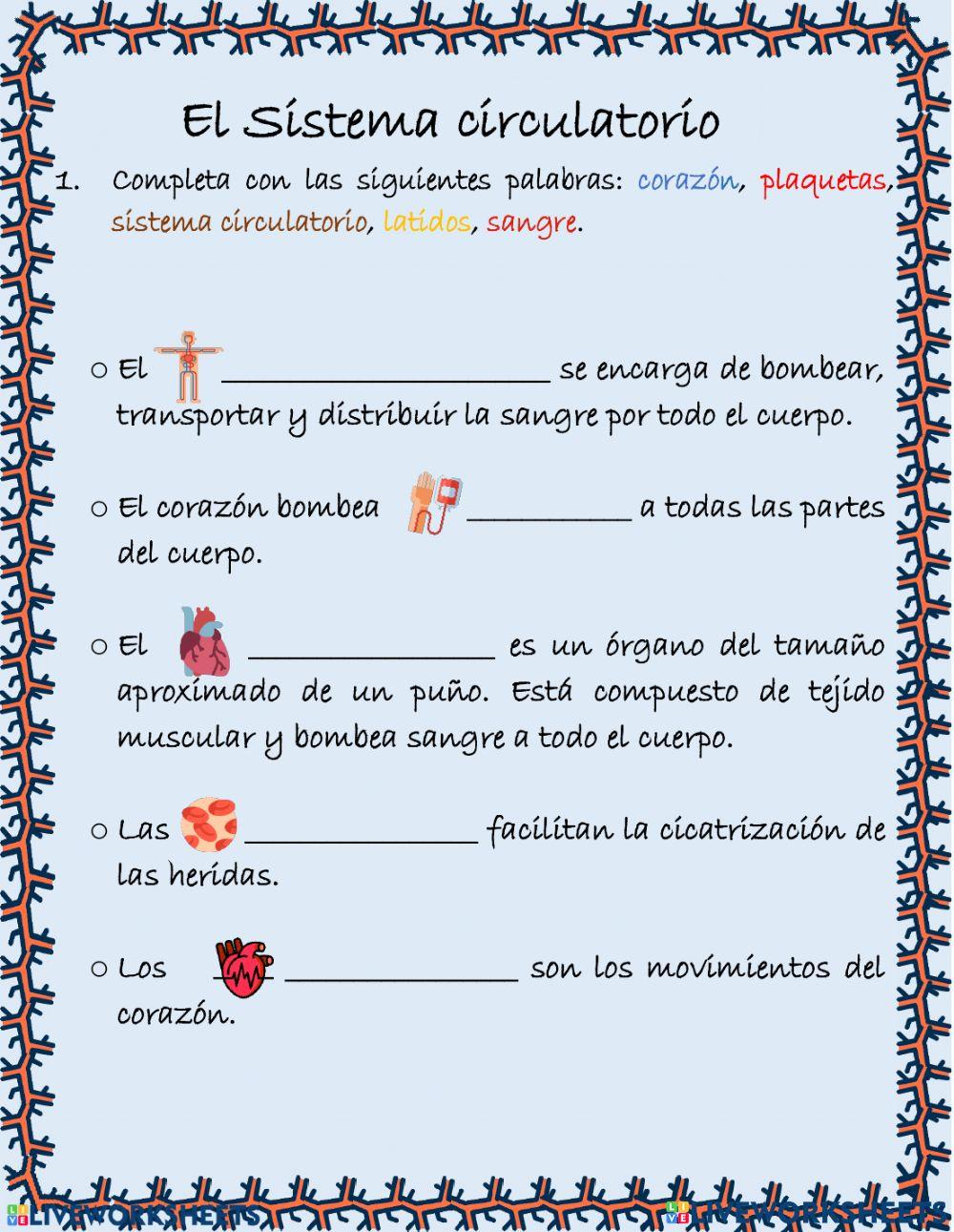 Sistema Circulatorio