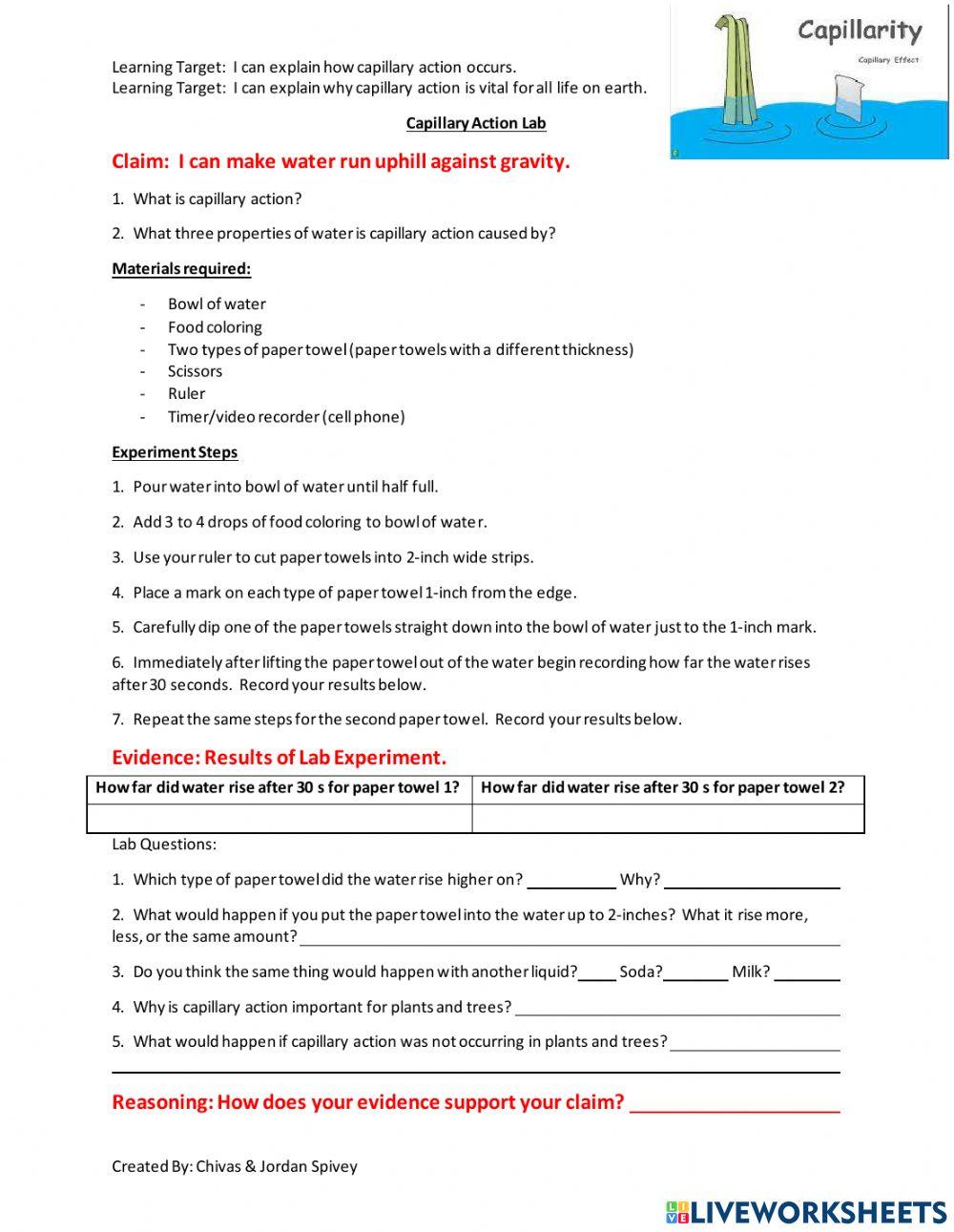 Capillary Action Lab 3143 Coach Science Live