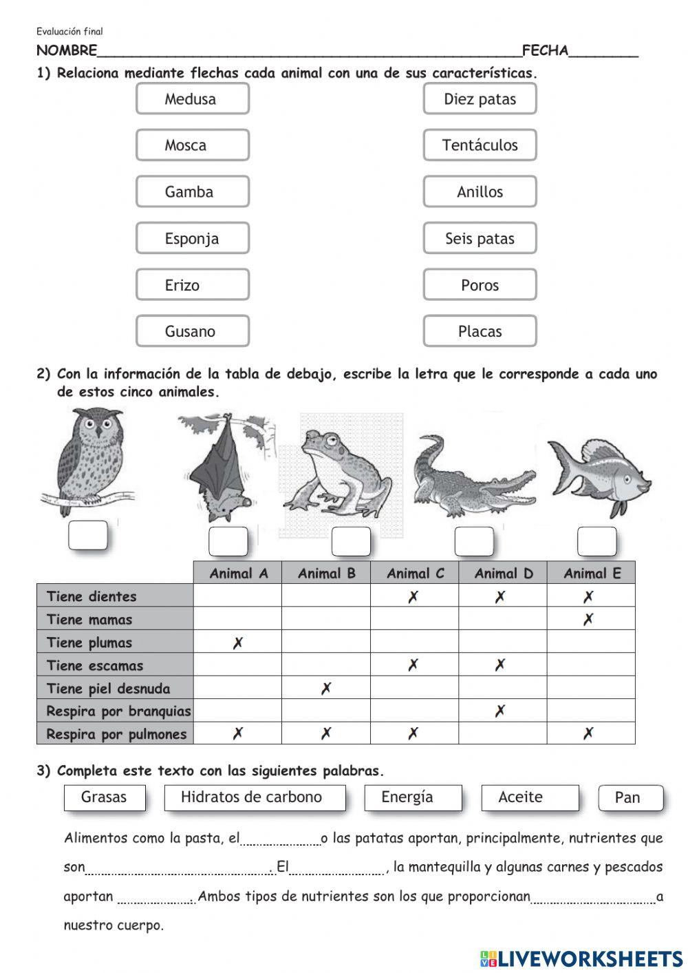 Evaluación final de naturales