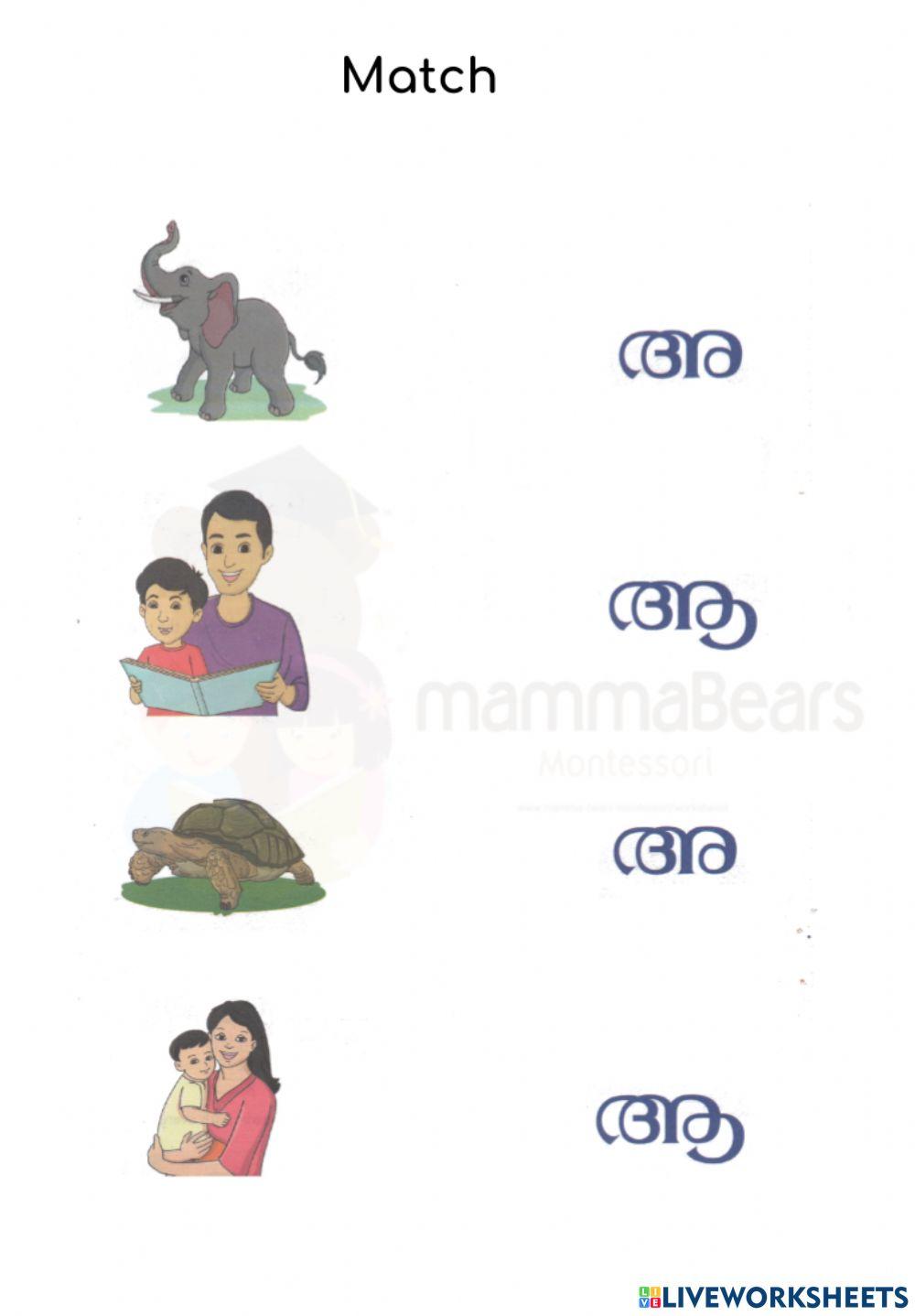 Malayalam lkg activity 1