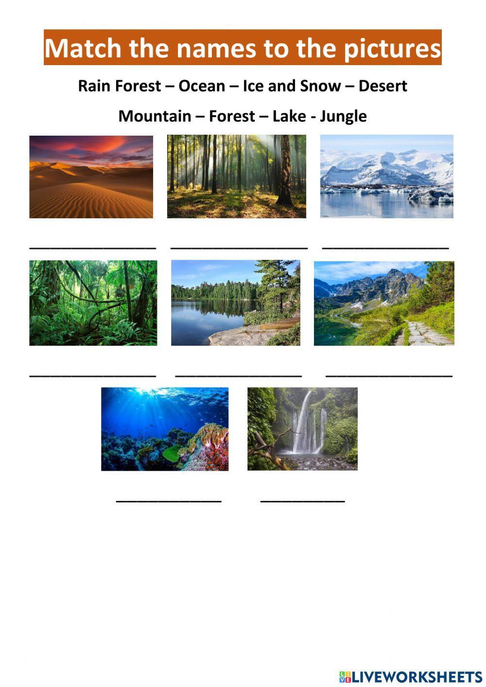 Places where animals live - Big English 3