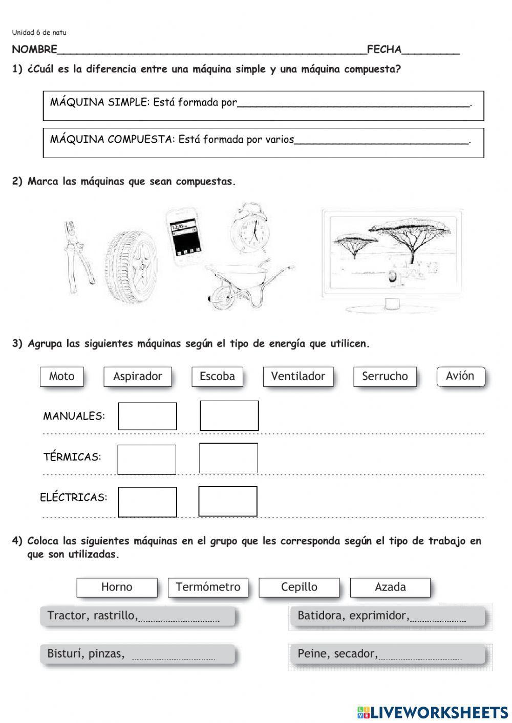 Evaluación de la unidad 6 de naturales