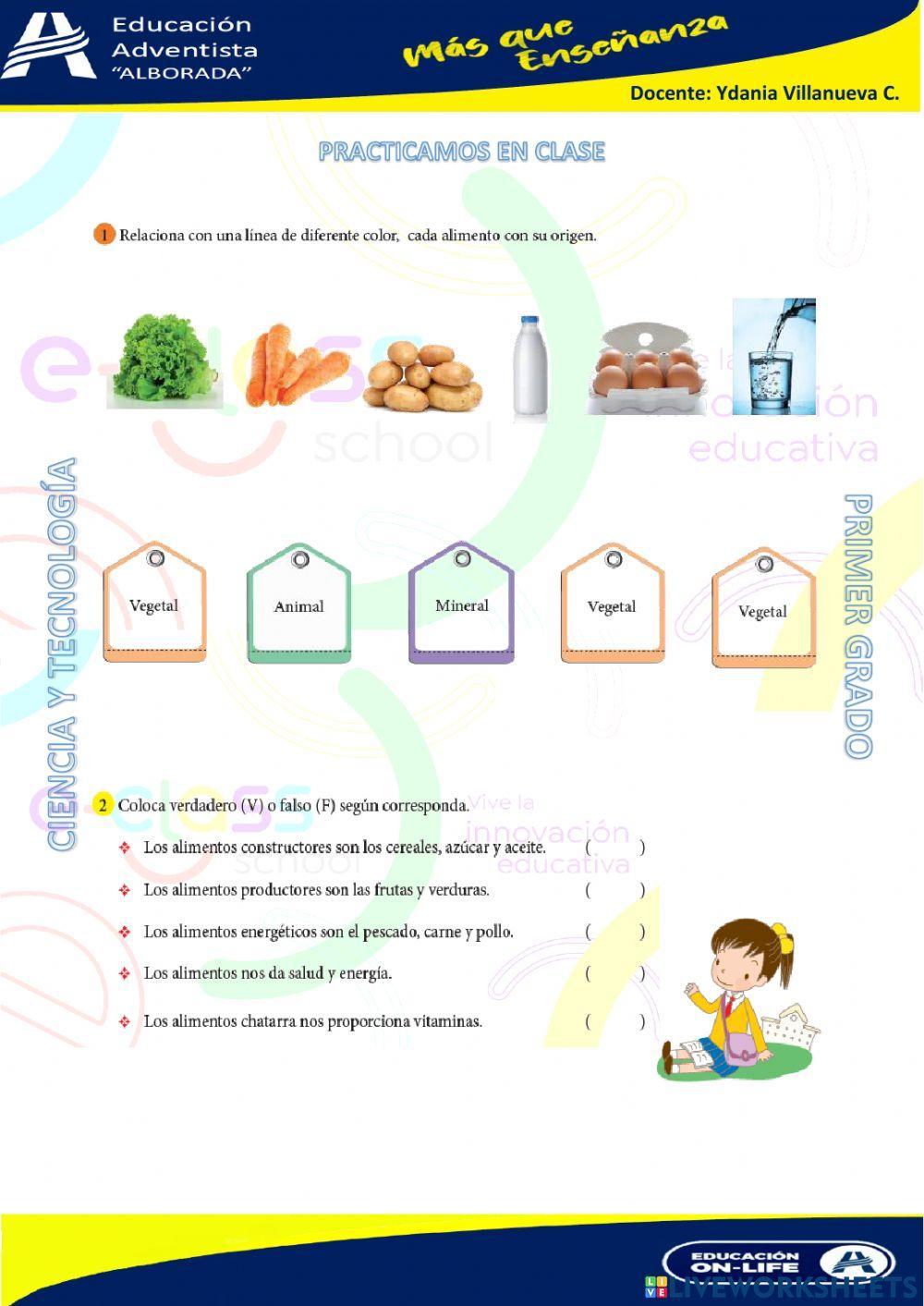 Alimentos según su función