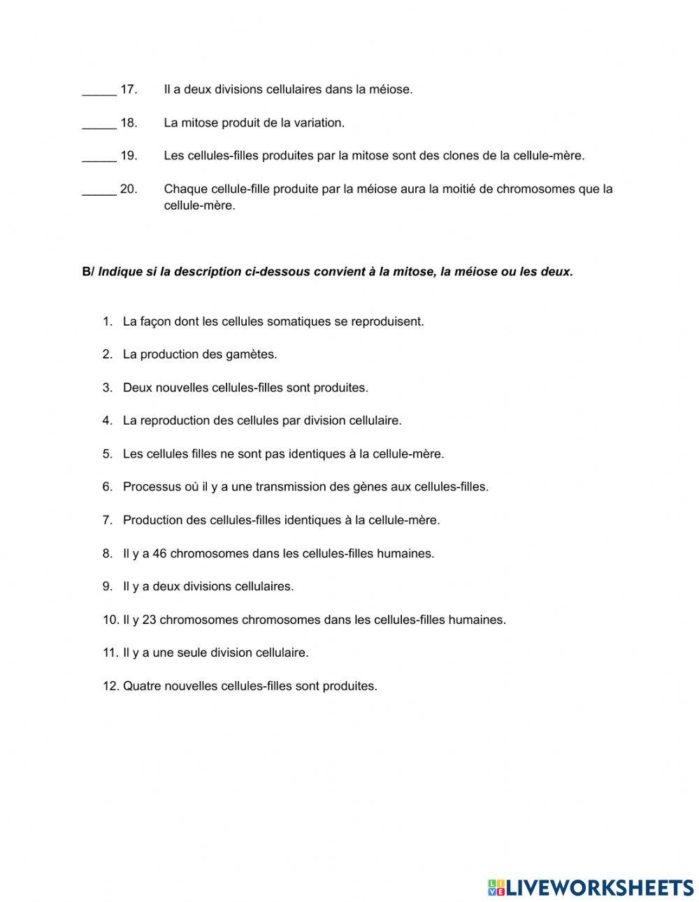 Thème 5: L'ADN, la mitose et la méiose