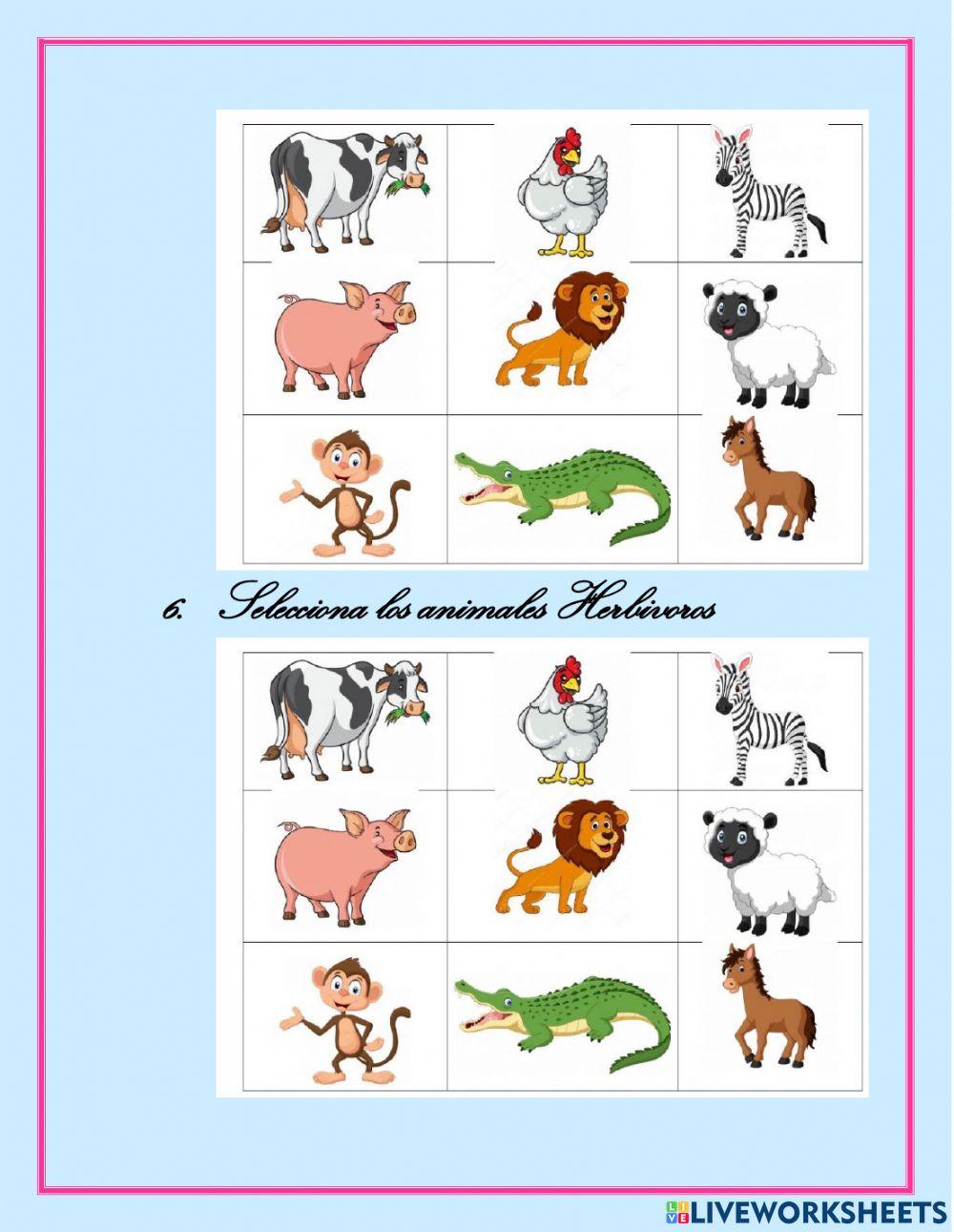 Los animales se alimentan