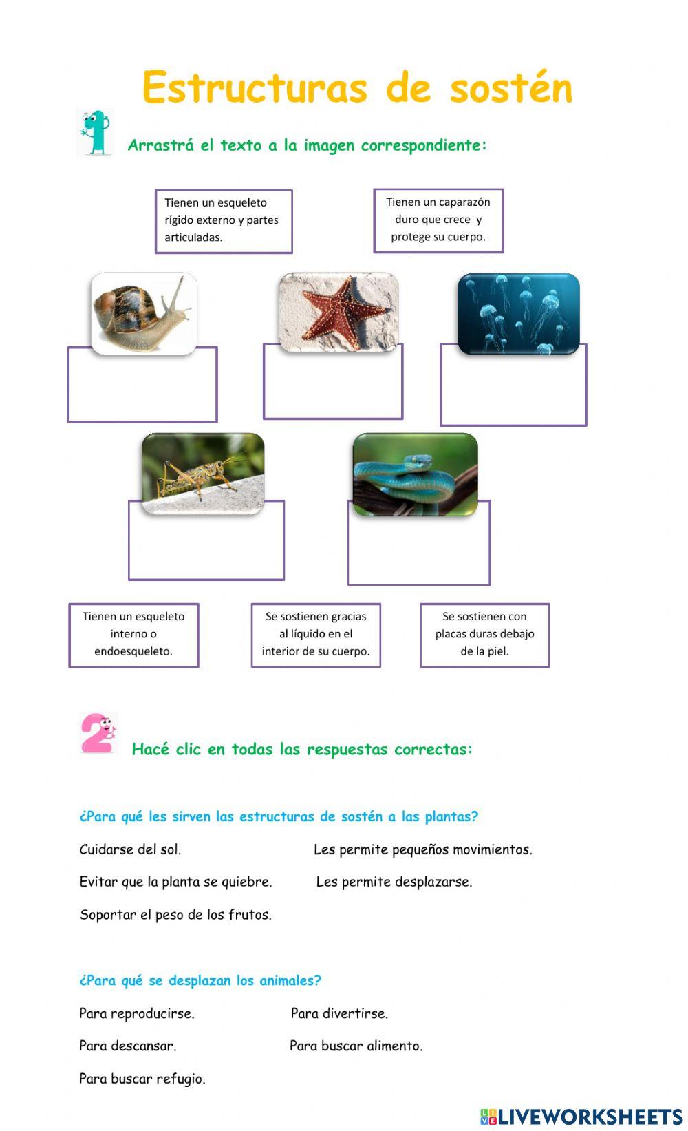 Estructuras de sostén