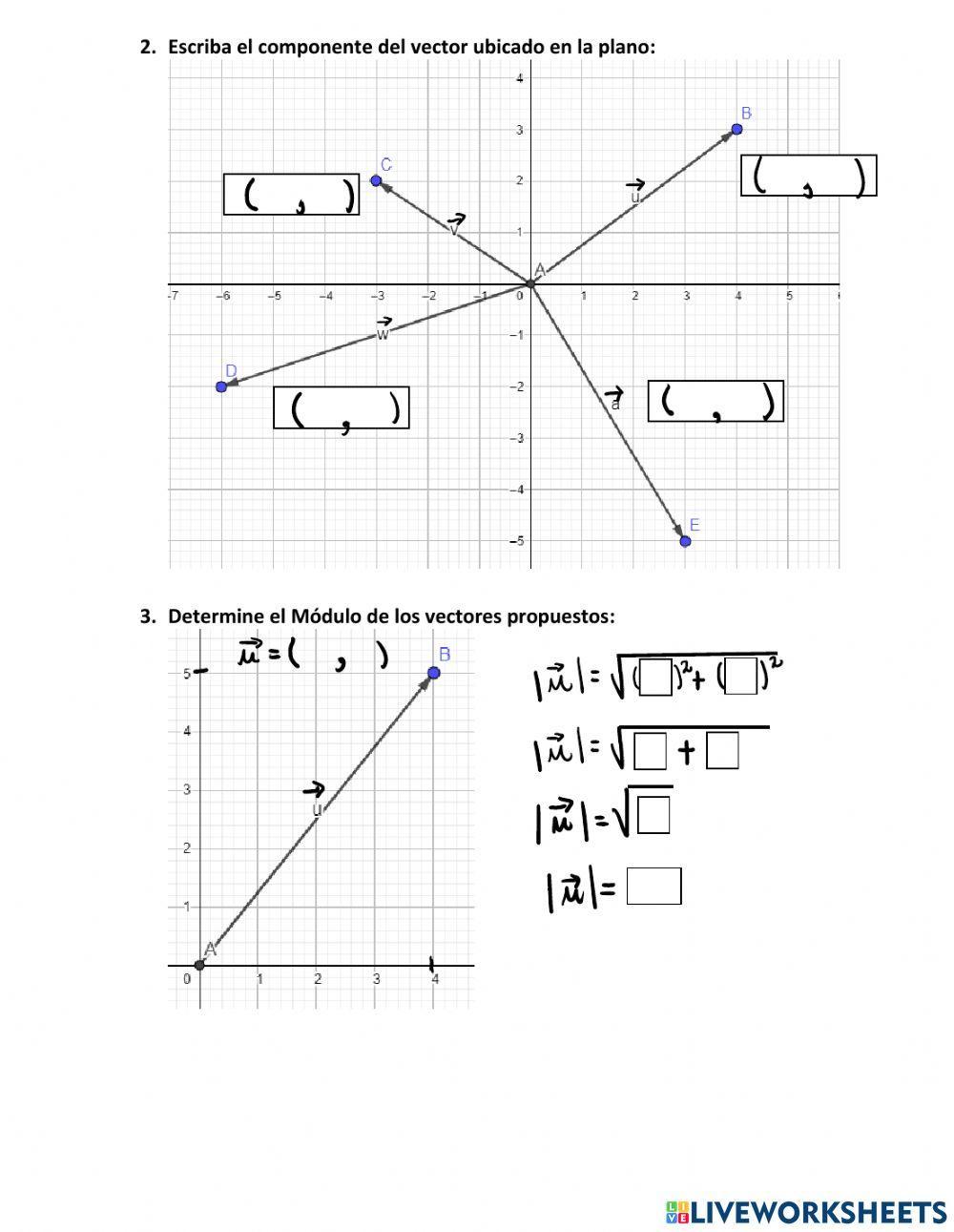 Vectores gráfica y Módulo